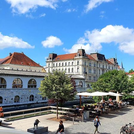 Petkovsek Rooms And Apartments Ljubljana Bagian luar foto
