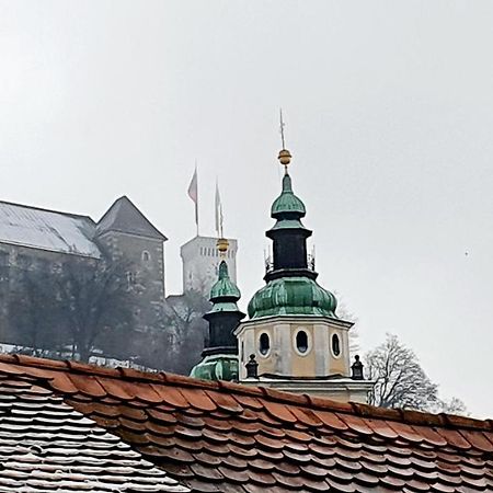 Petkovsek Rooms And Apartments Ljubljana Bagian luar foto