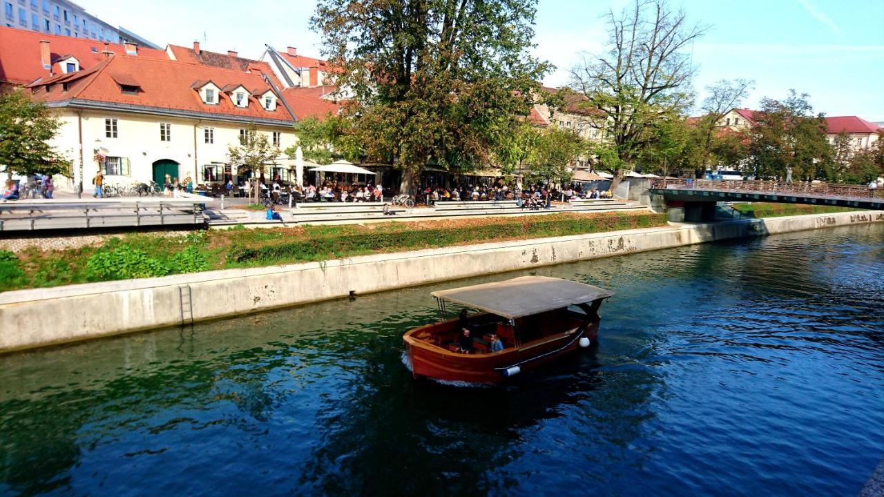 Petkovsek Rooms And Apartments Ljubljana Bagian luar foto