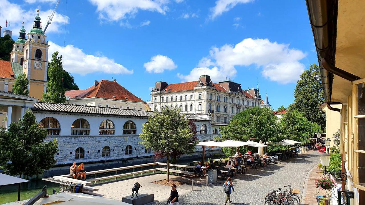 Petkovsek Rooms And Apartments Ljubljana Bagian luar foto