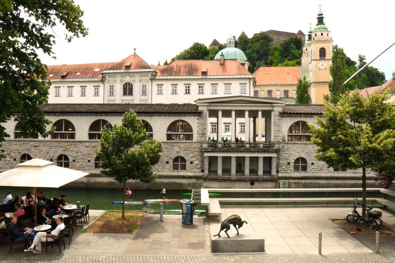 Petkovsek Rooms And Apartments Ljubljana Bagian luar foto