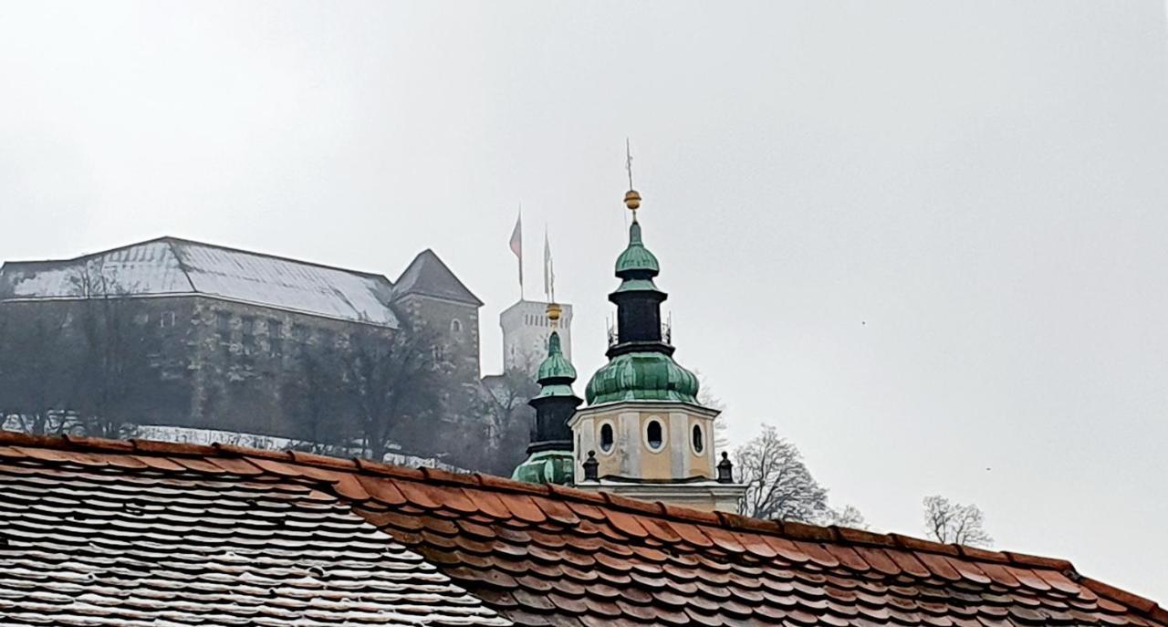 Petkovsek Rooms And Apartments Ljubljana Bagian luar foto